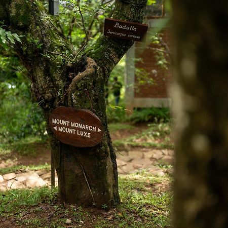 Treehouse Chalets - Luxury Getaway Within A Short Distance Of Ella Belihuloya Exterior photo