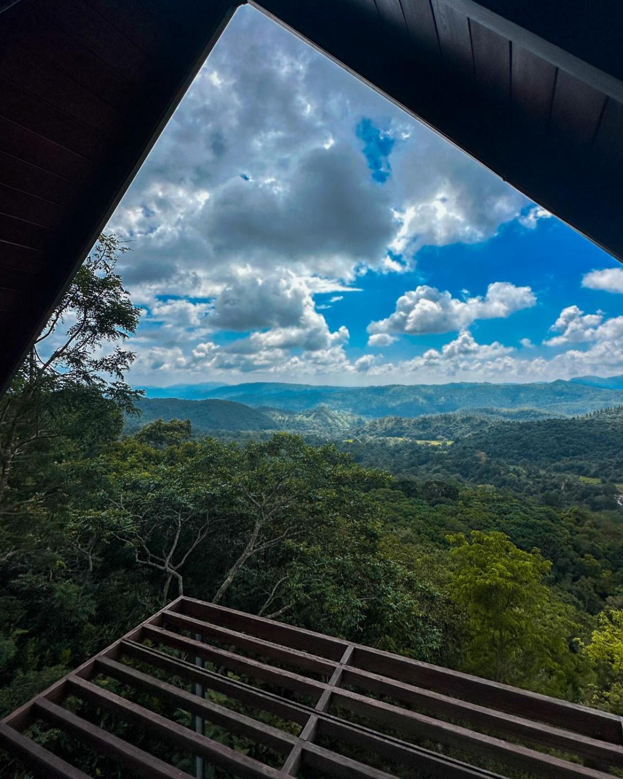 Treehouse Chalets - Luxury Getaway Within A Short Distance Of Ella Belihuloya Exterior photo