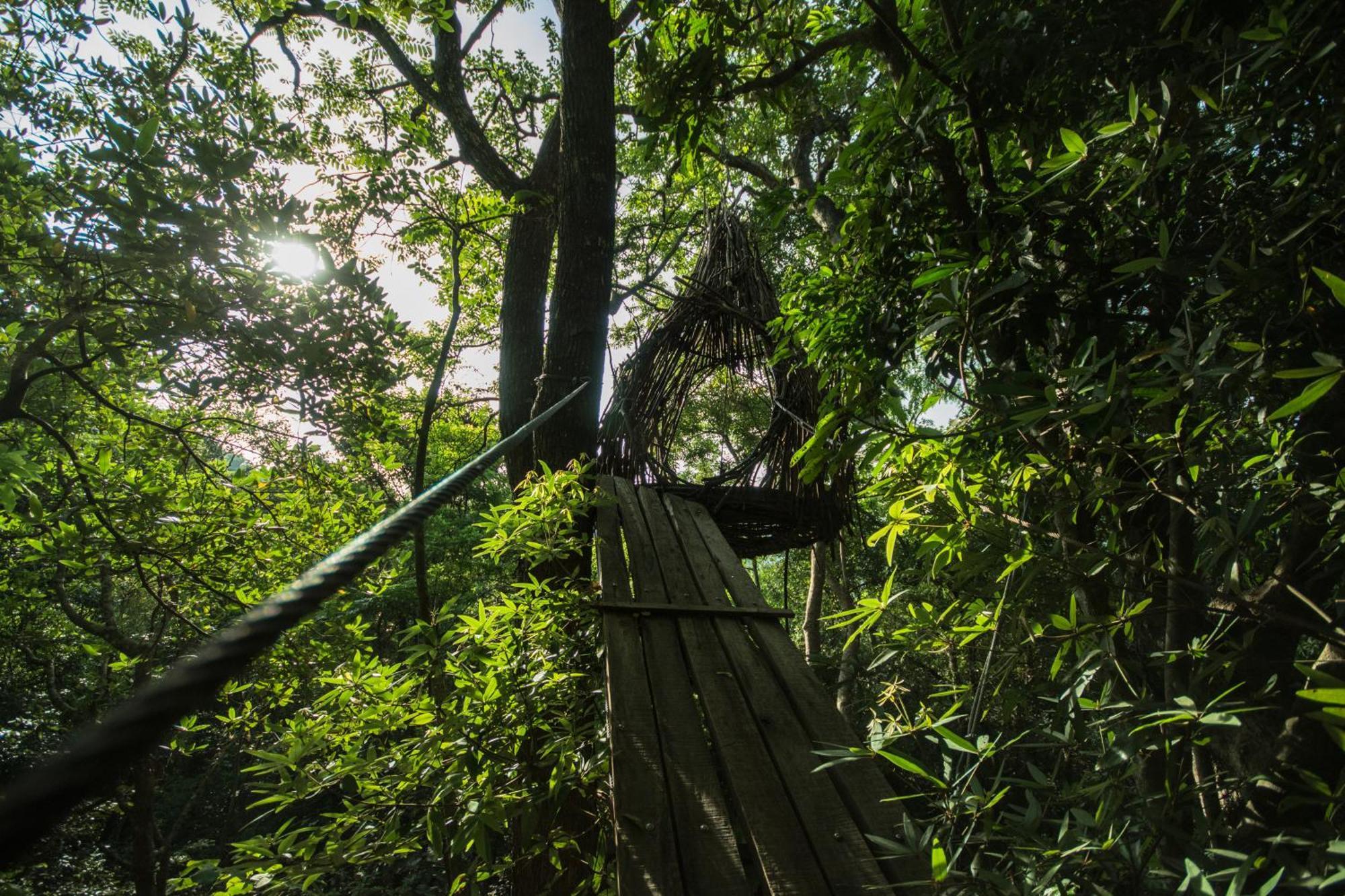 Treehouse Chalets - Luxury Getaway Within A Short Distance Of Ella Belihuloya Exterior photo