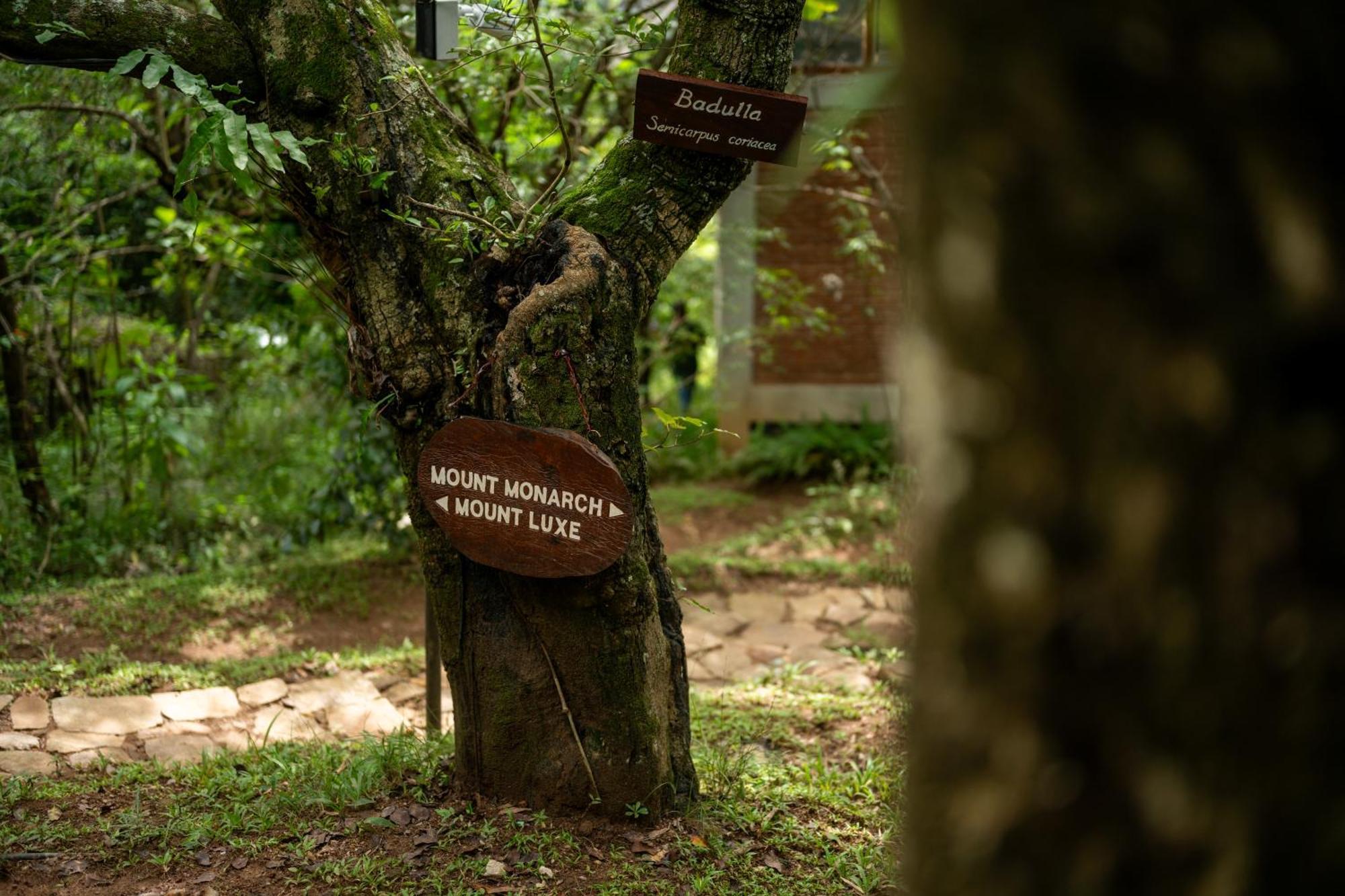 Treehouse Chalets - Luxury Getaway Within A Short Distance Of Ella Belihuloya Exterior photo