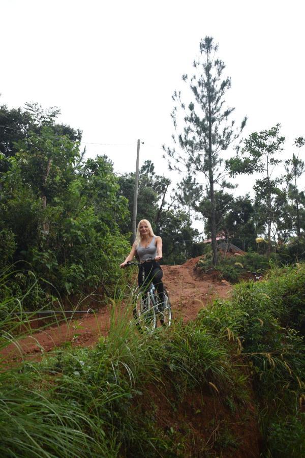 Treehouse Chalets - Luxury Getaway Within A Short Distance Of Ella Belihuloya Exterior photo